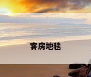 客房地毯