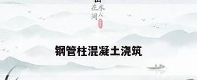 钢管柱混凝土浇筑