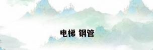 电梯 钢管