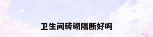 卫生间砖砌隔断好吗