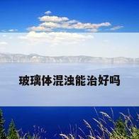 玻璃体混浊能治好吗
