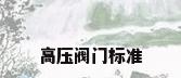 高压阀门标准