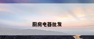 厨房电器批发