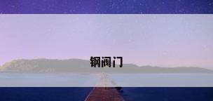 钢阀门
