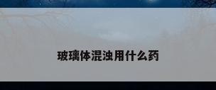 玻璃体混浊用什么药