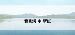 背景墙 小 壁纸