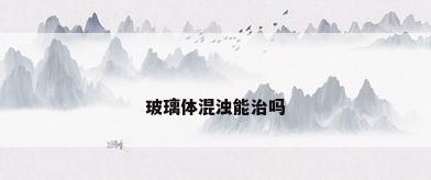 玻璃体混浊能治吗
