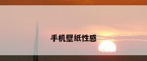 手机壁纸性感