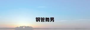 钢管舞男