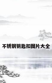 不锈钢钥匙扣图片大全