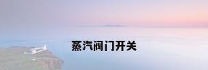 蒸汽阀门开关