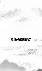 厨房调味架