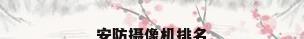 安防摄像机排名
