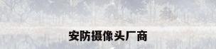 安防摄像头厂商
