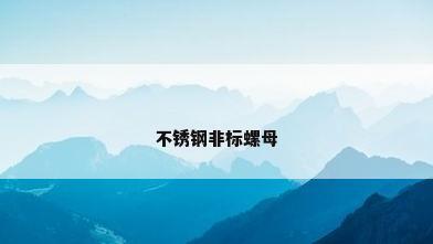 不锈钢非标螺母