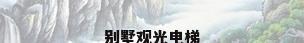 别墅观光电梯