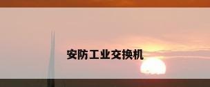 安防工业交换机