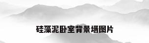 硅藻泥卧室背景墙图片