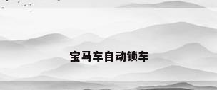 宝马车自动锁车
