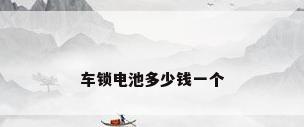 车锁电池多少钱一个