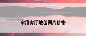 家用客厅地毯图片价格