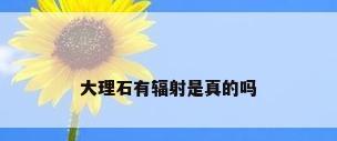 大理石有辐射是真的吗