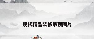 现代精品装修吊顶图片