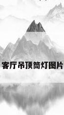 客厅吊顶筒灯图片
