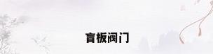盲板阀门