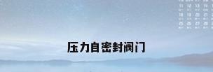 压力自密封阀门