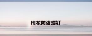 梅花防盗螺钉
