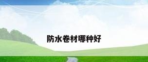 防水卷材哪种好