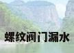 螺纹阀门漏水