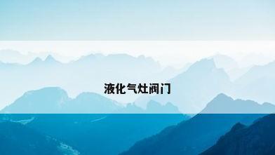 液化气灶阀门