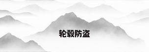 轮毂防盗