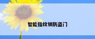 智能指纹锁防盗门