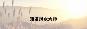 知名风水大师