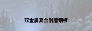 双金属复合耐磨钢板