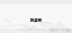 防盗刺