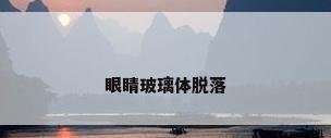 眼睛玻璃体脱落