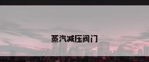 蒸汽减压阀门