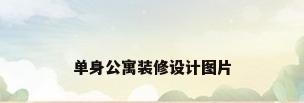 单身公寓装修设计图片