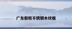 广东橱柜不锈钢木纹板