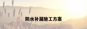 防水补漏施工方案