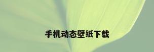 手机动态壁纸下载