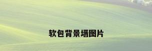 软包背景墙图片