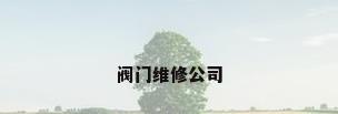阀门维修公司
