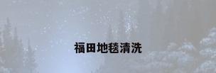福田地毯清洗