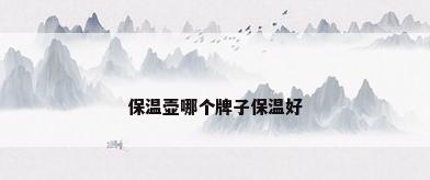保温壶哪个牌子保温好