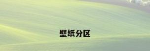 壁纸分区